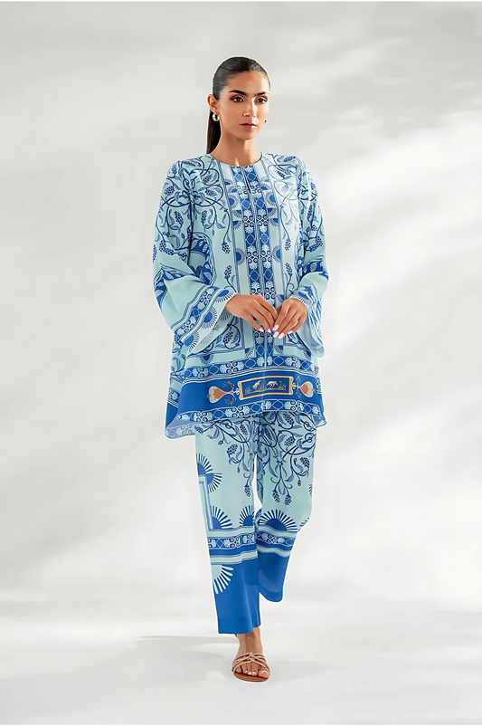 Lahori Prints Paisley Print Co Ord Set